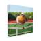 Stupell Industries European Robin Playing Tennis Clear Summer Sky Canvas Wall Art